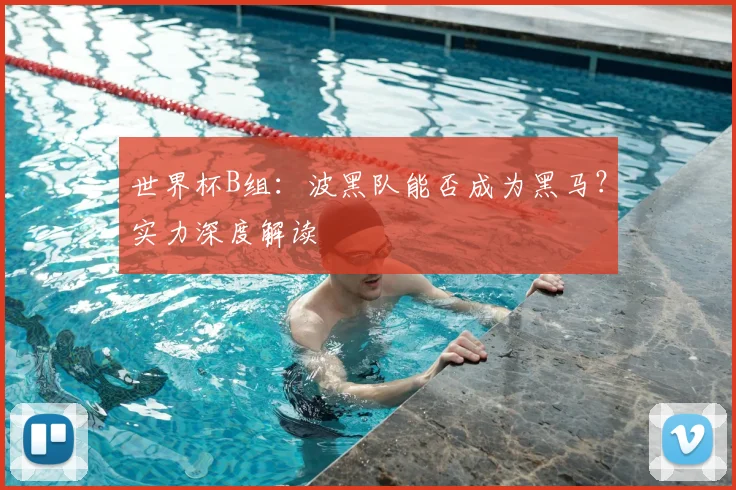 世界杯B组：波黑队能否成为黑马？实力深度解读
